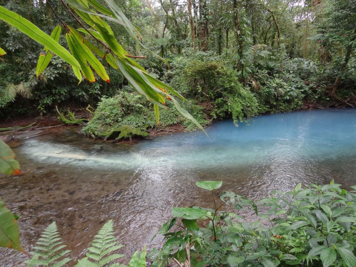 Hotel Rio Celeste Finca L' Etoile Celeste El Achiote Exteriér fotografie