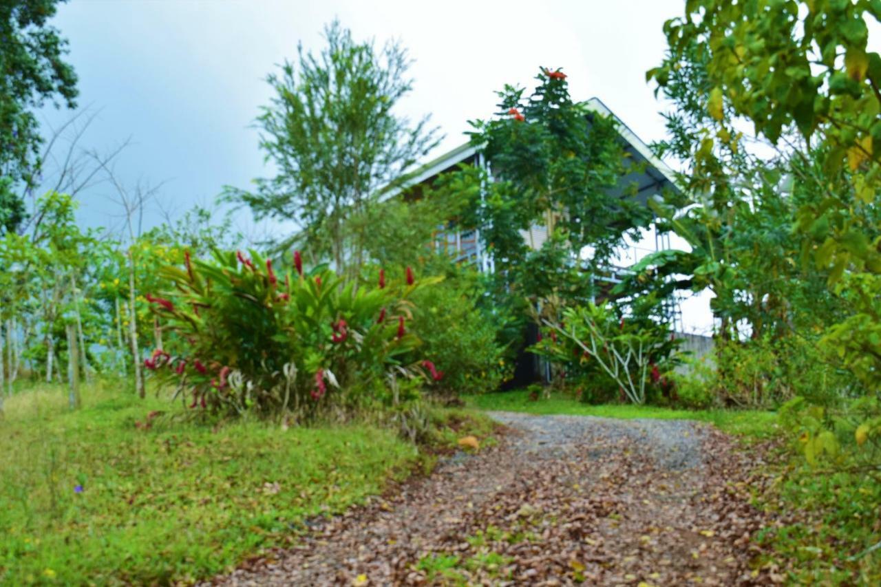 Hotel Rio Celeste Finca L' Etoile Celeste El Achiote Exteriér fotografie