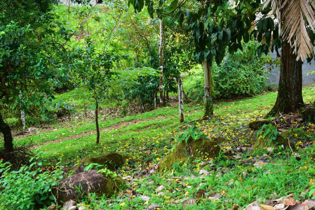 Hotel Rio Celeste Finca L' Etoile Celeste El Achiote Exteriér fotografie